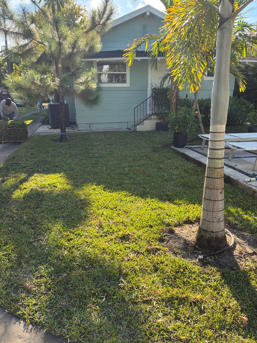 Landscape Design for Gulf Bay Sod in Clearwater, FL