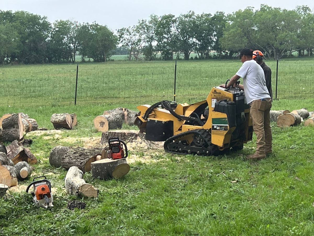 Fall Clean Up for DR Landscape in San Antonio, TX