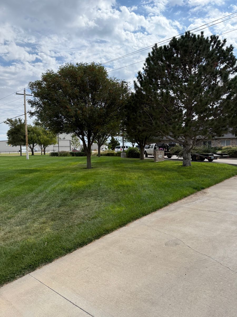 Sod Installations for R&J Hydromulch in Booker, TX