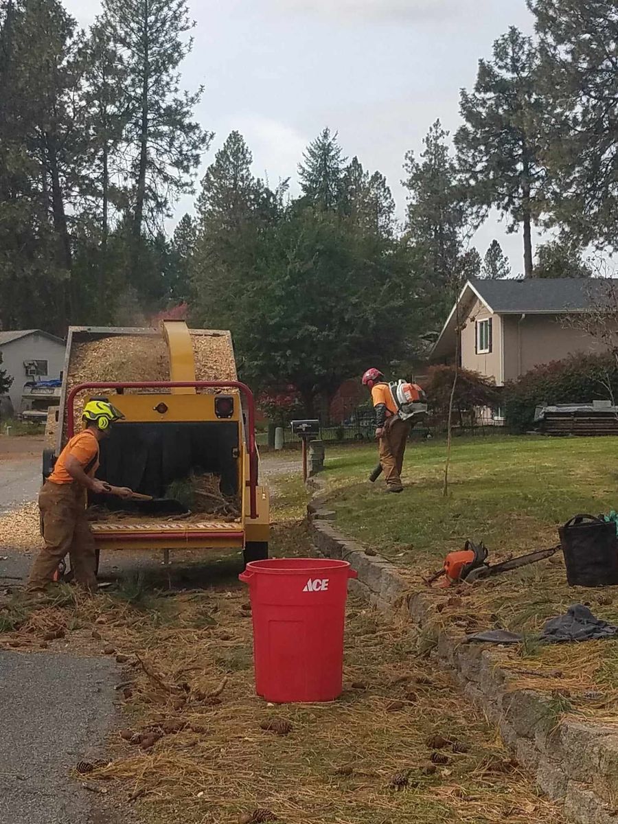 Land Clearing & Demolition for King & Sons Urban Forestry in Coeur d'Alene, ID