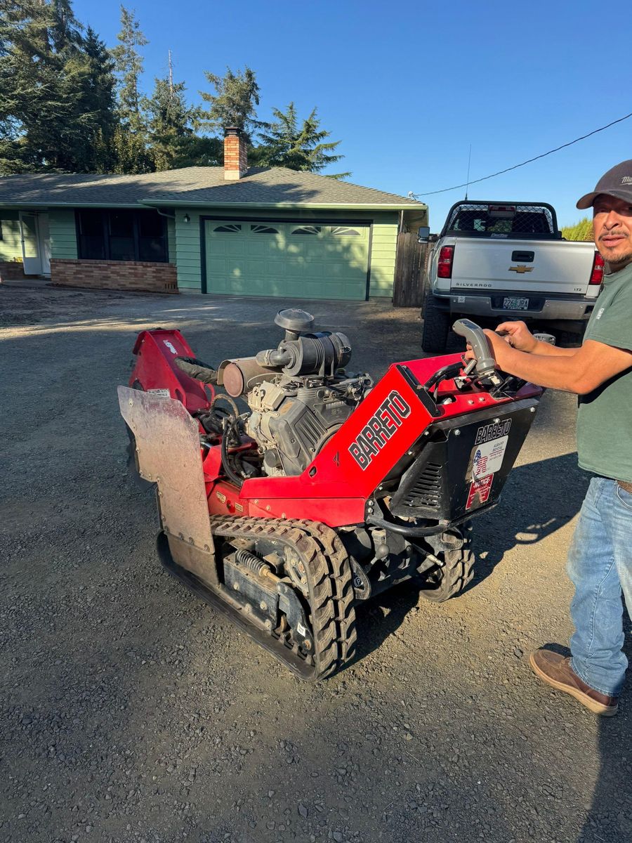 Tree Removals for Willamette Landscaping and Tree Services in Albany, OR