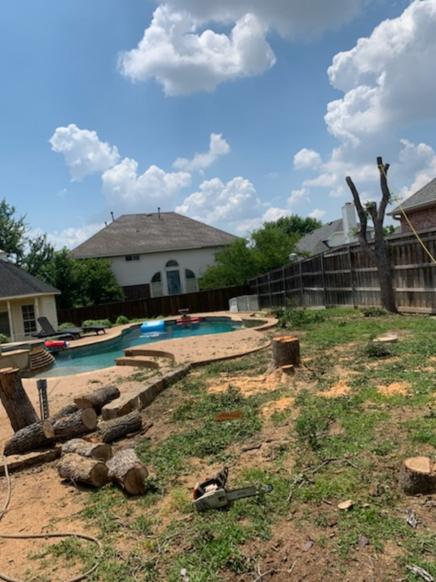 Tree Removal & Trimming for Teague Trees & Landscaping in Rendon, TX