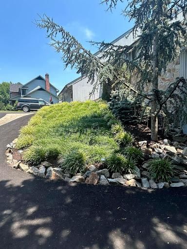 Tree & Shrub Trimming for Absolute Lawn Solutions LLC in Sutherland, VA