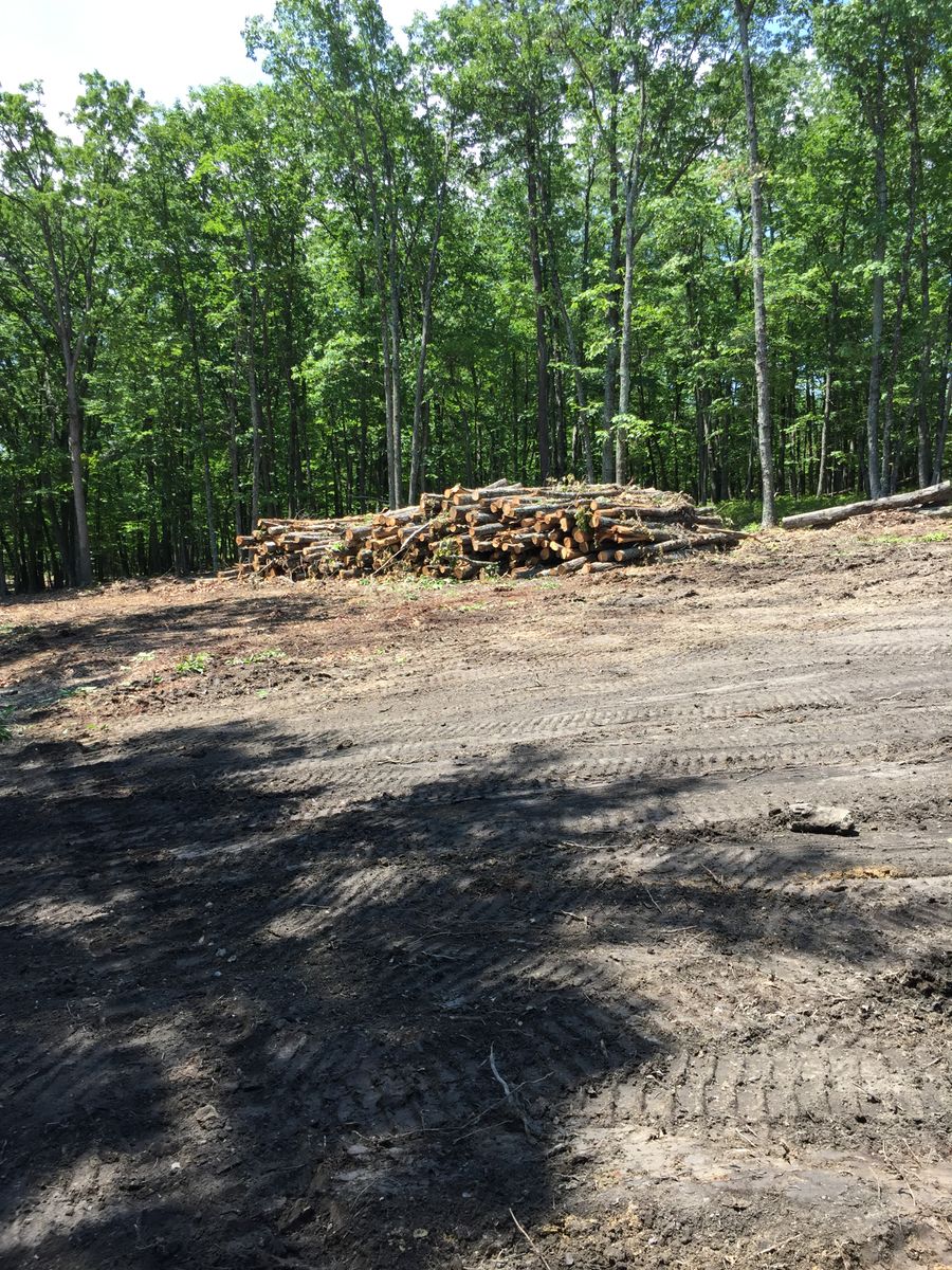 Land Clearing for Lanier Excavating LLC in Bedford County, VA