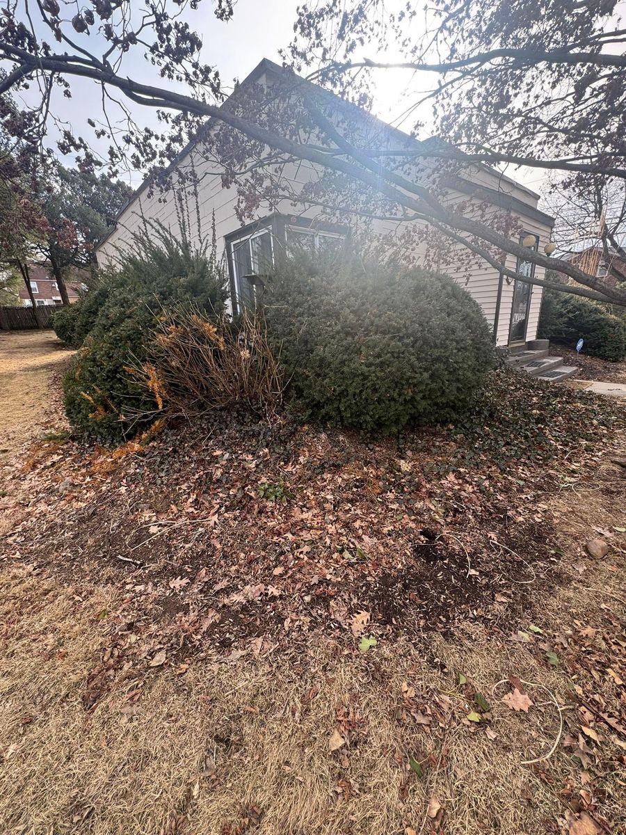 Seasonal Clean Up for Landscape & Lawn Care Pros in Temple, PA