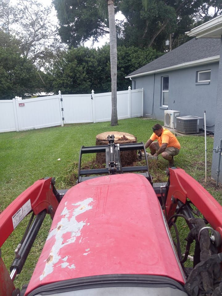 Stump Removal for Bills Tree Service in Valrico, FL