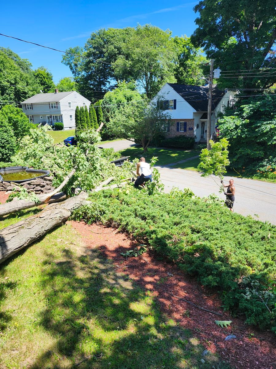 Landscape Installation for Landscape Innovations LLC in Torrington, CT