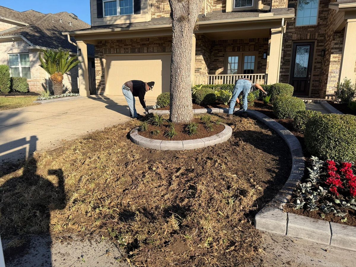 Landscaping for Texas Curb N Borders in Houston, TX