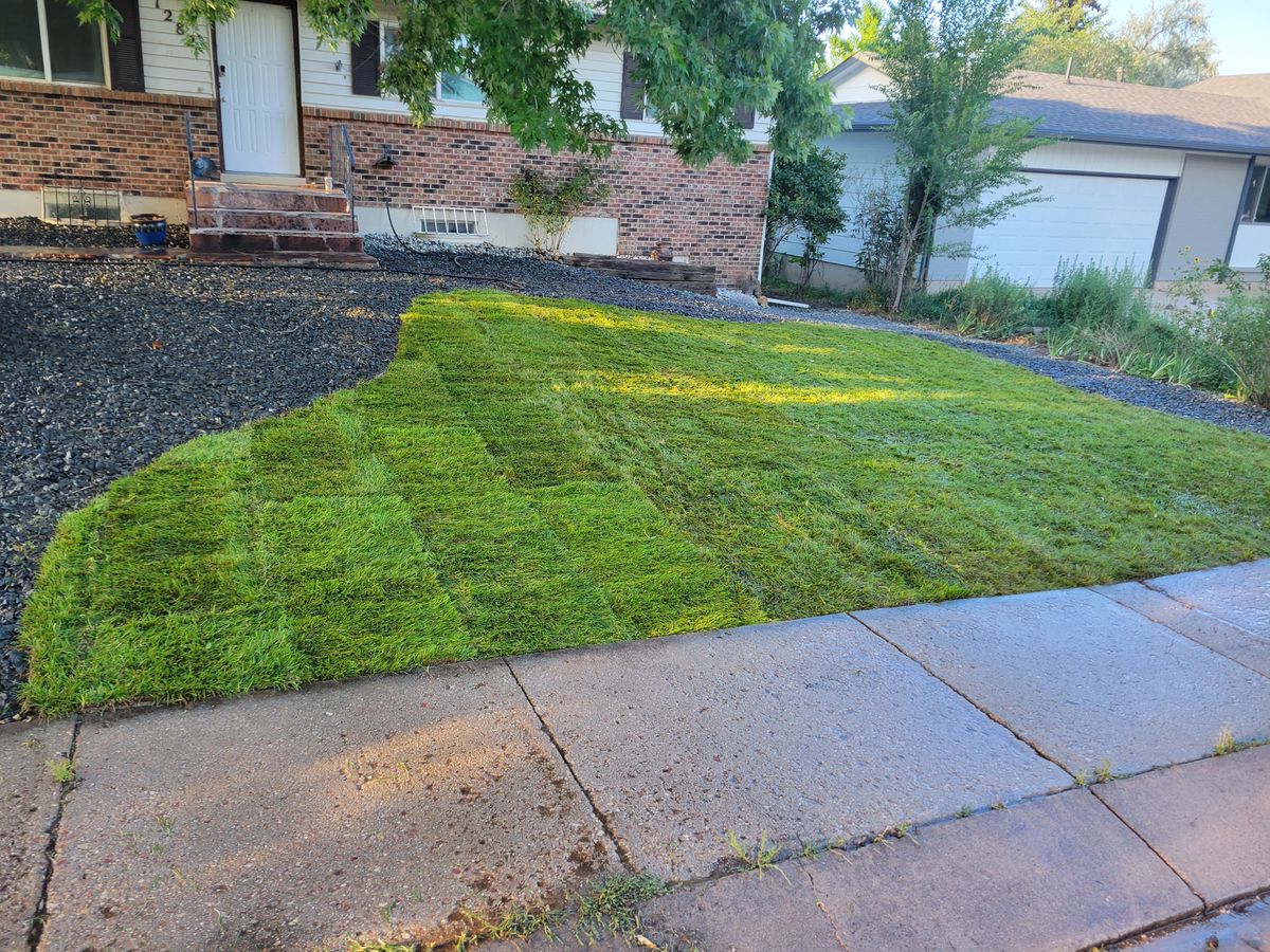 Sod Installation for JS Landscaping Colorado in Denver, CO