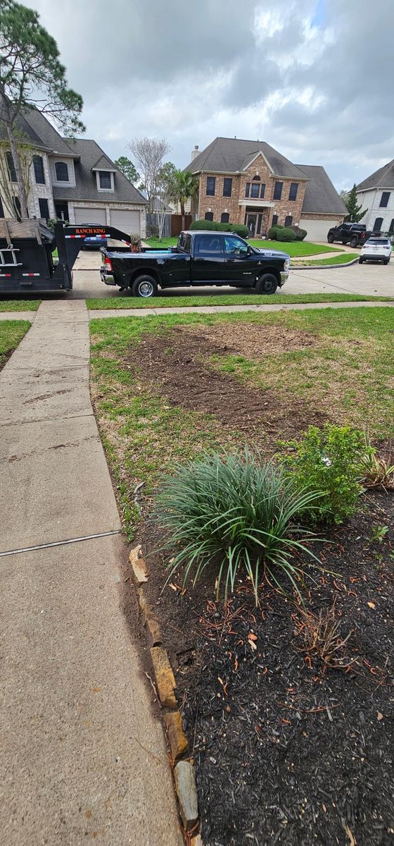 Shrub Trimming for Servin's Tree Care  in Houston, TX