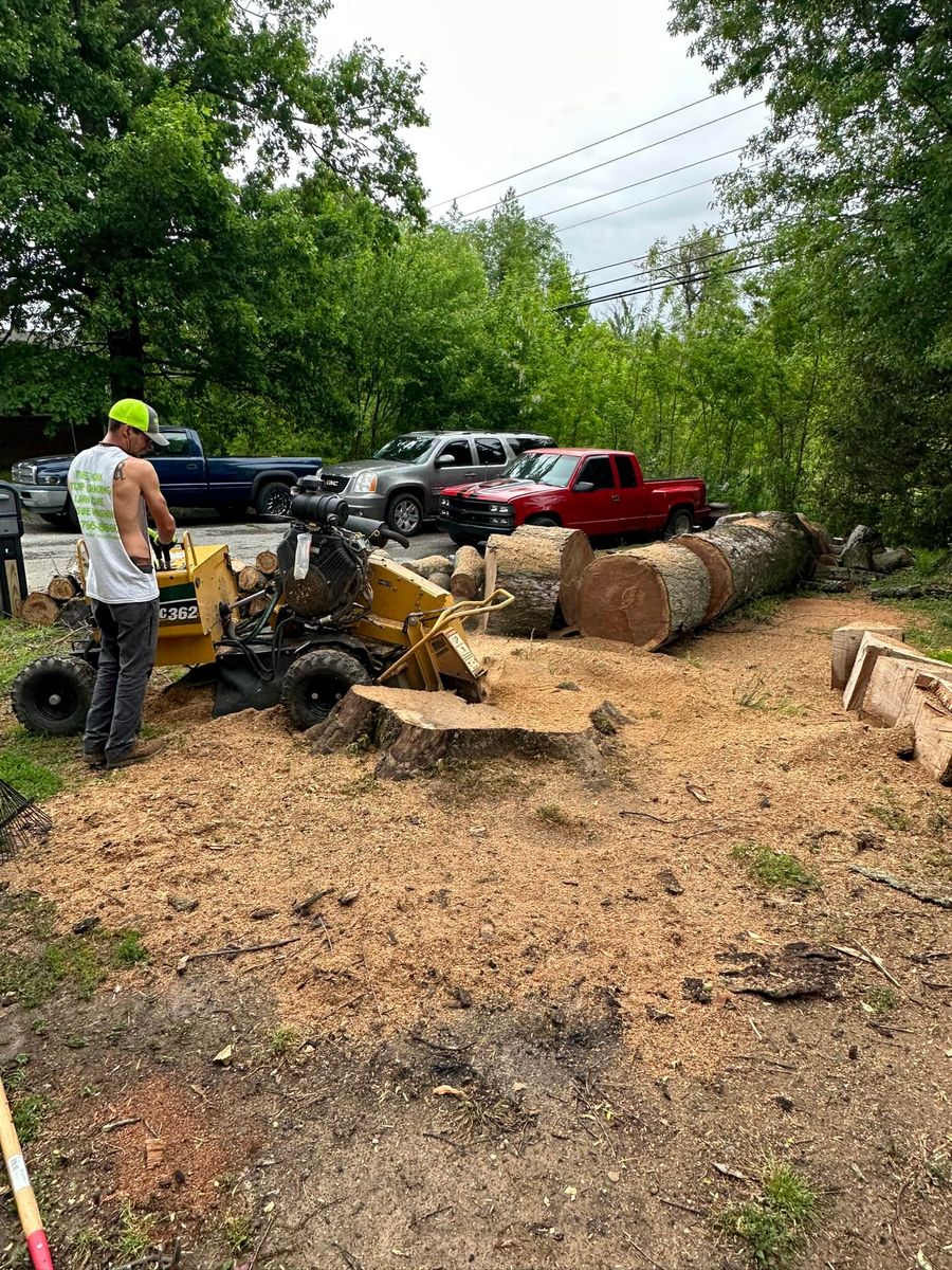 Stump Removal for Greenskeeper Property Management in Elizabethtown, KY