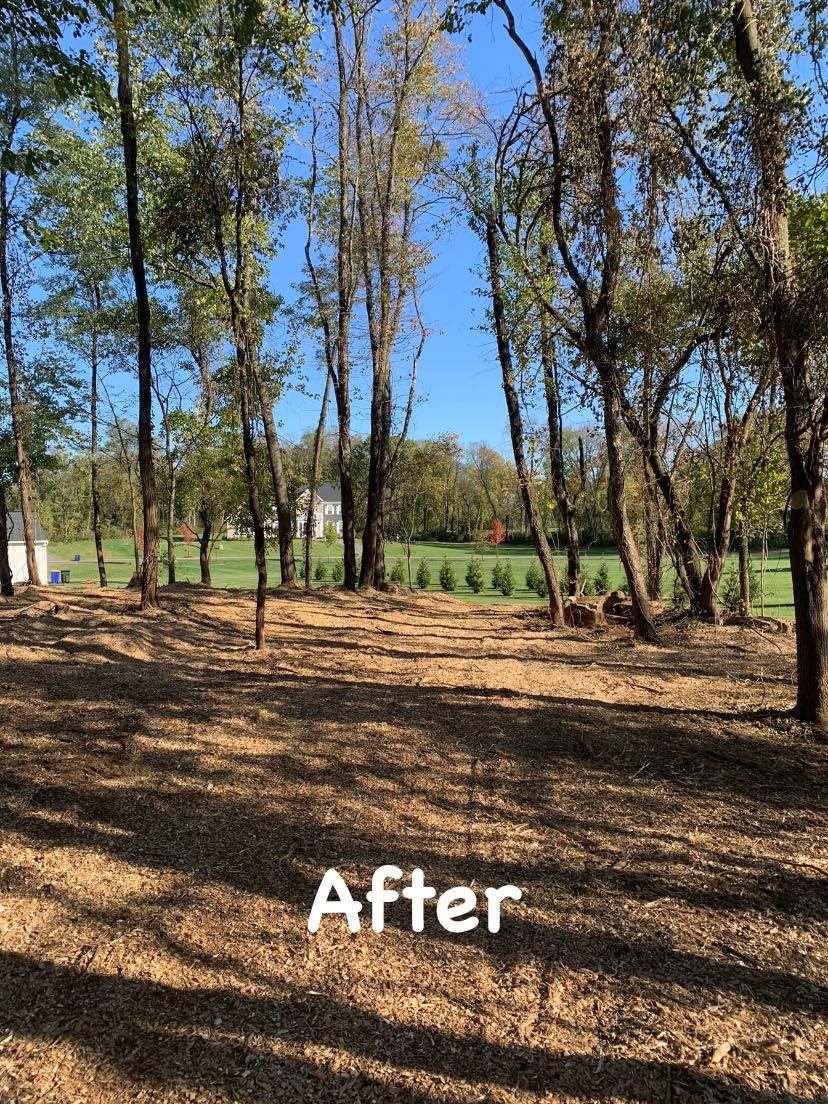 Tree Removal for Penn Top Property Services in Lake Meade, PA