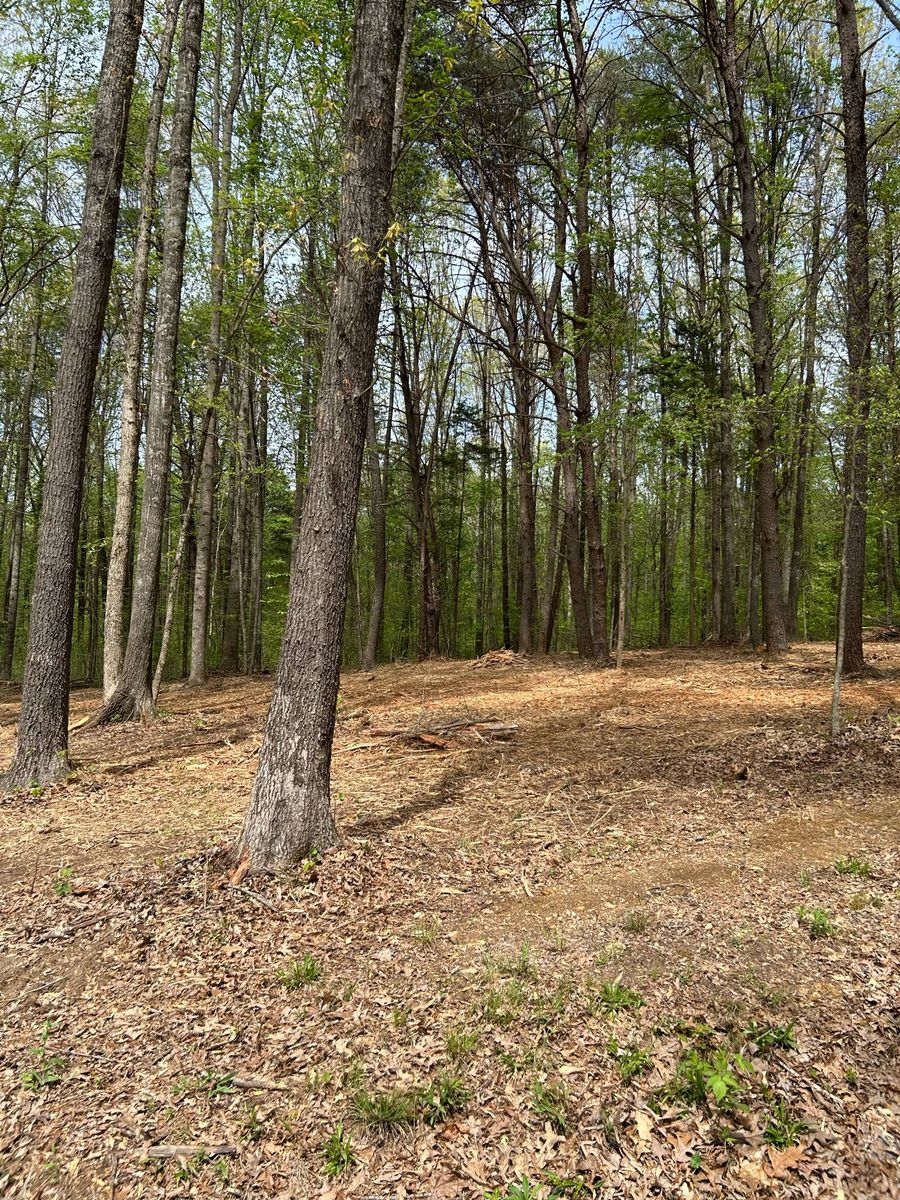 Land Clearing for Z's Land Management & Forestry Mulching in Smithville, TN