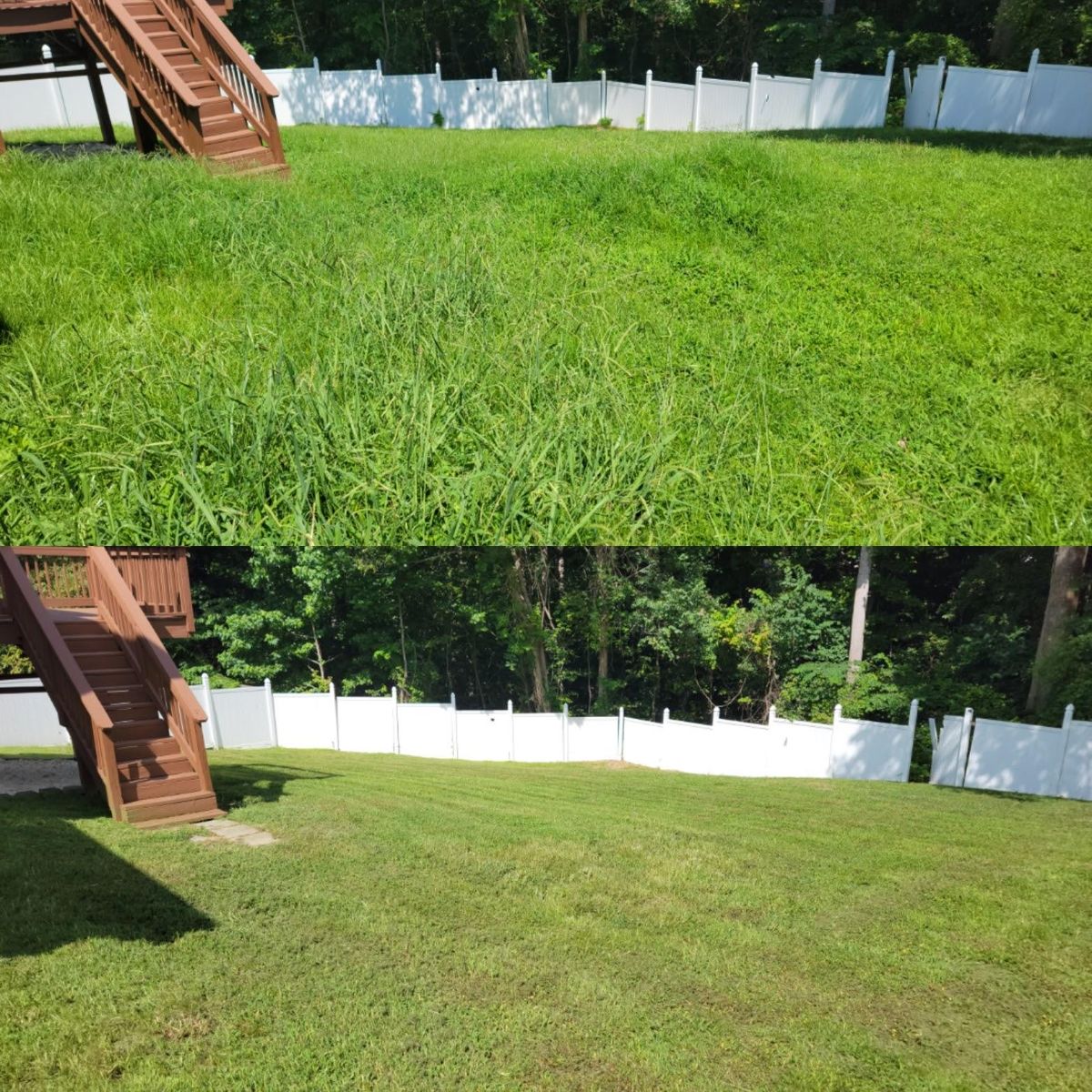 Fall and Spring Clean Up for Piedmont Lawn and Landscaping in Lexington, NC