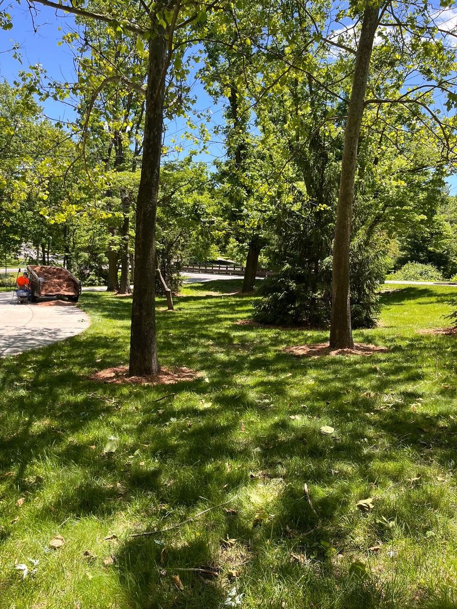 Lawn Maintenance for Finest Lawn N Landscape in Springfield, IL