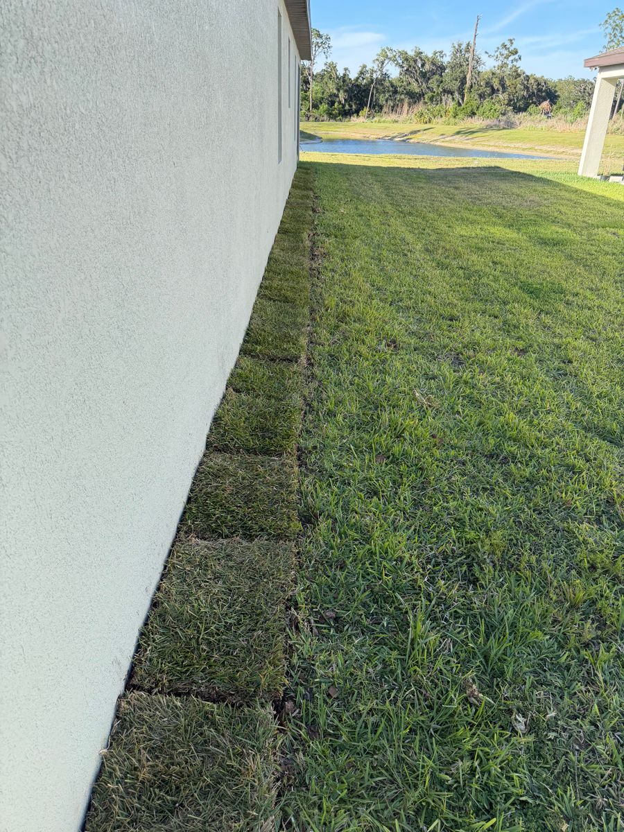 Landscape Design for The Yardman in Tampa, FL