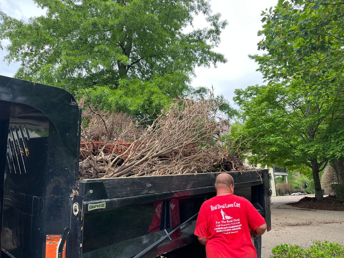 Tree Maintenance for Real Deal Lawn Care in Goodlettsville, TN