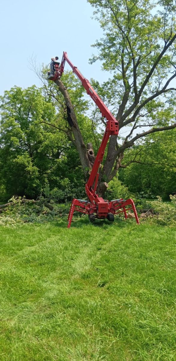 Tree Trimming for Lawn Ranger Yard And Tree Service LLC in Ottumwa, IA