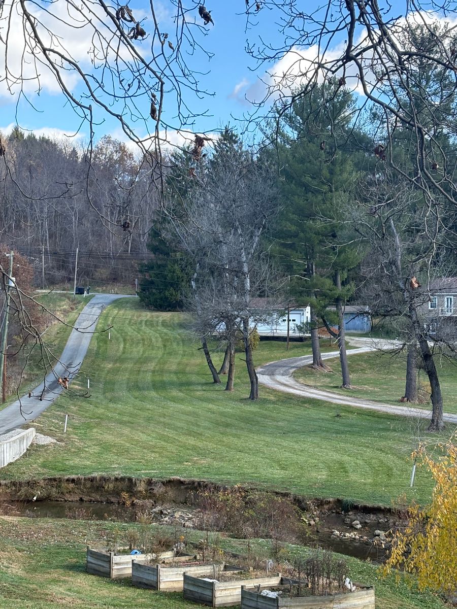 Tree Trimming for Cam Yardz in Washington, PA