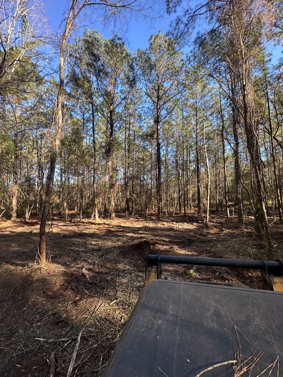 Land Clearing & Demolition for Platinum Construction llc in Pearl River, MS