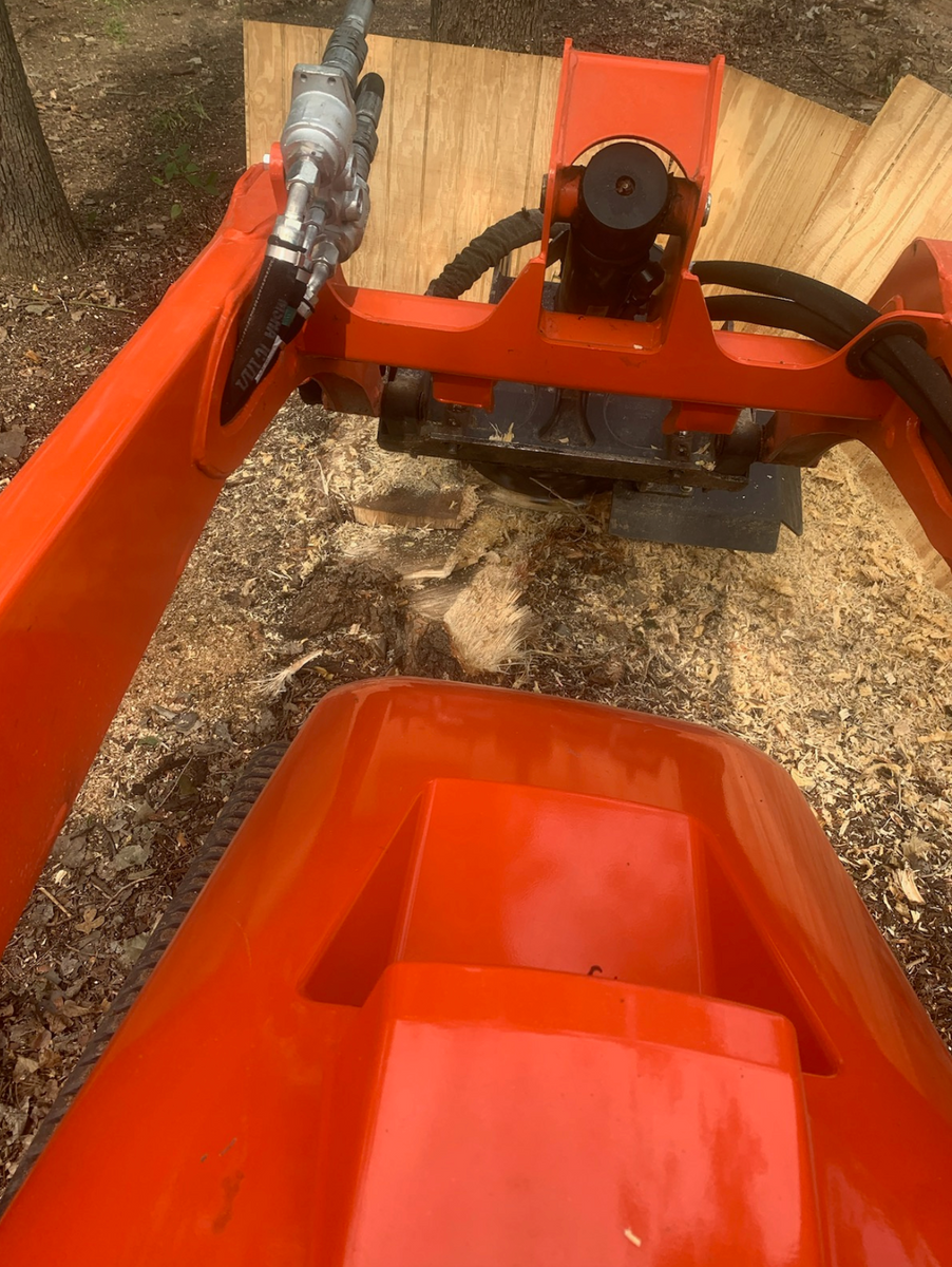 Stump Grinding & Removal for Teague Trees & Landscaping in Rendon, TX