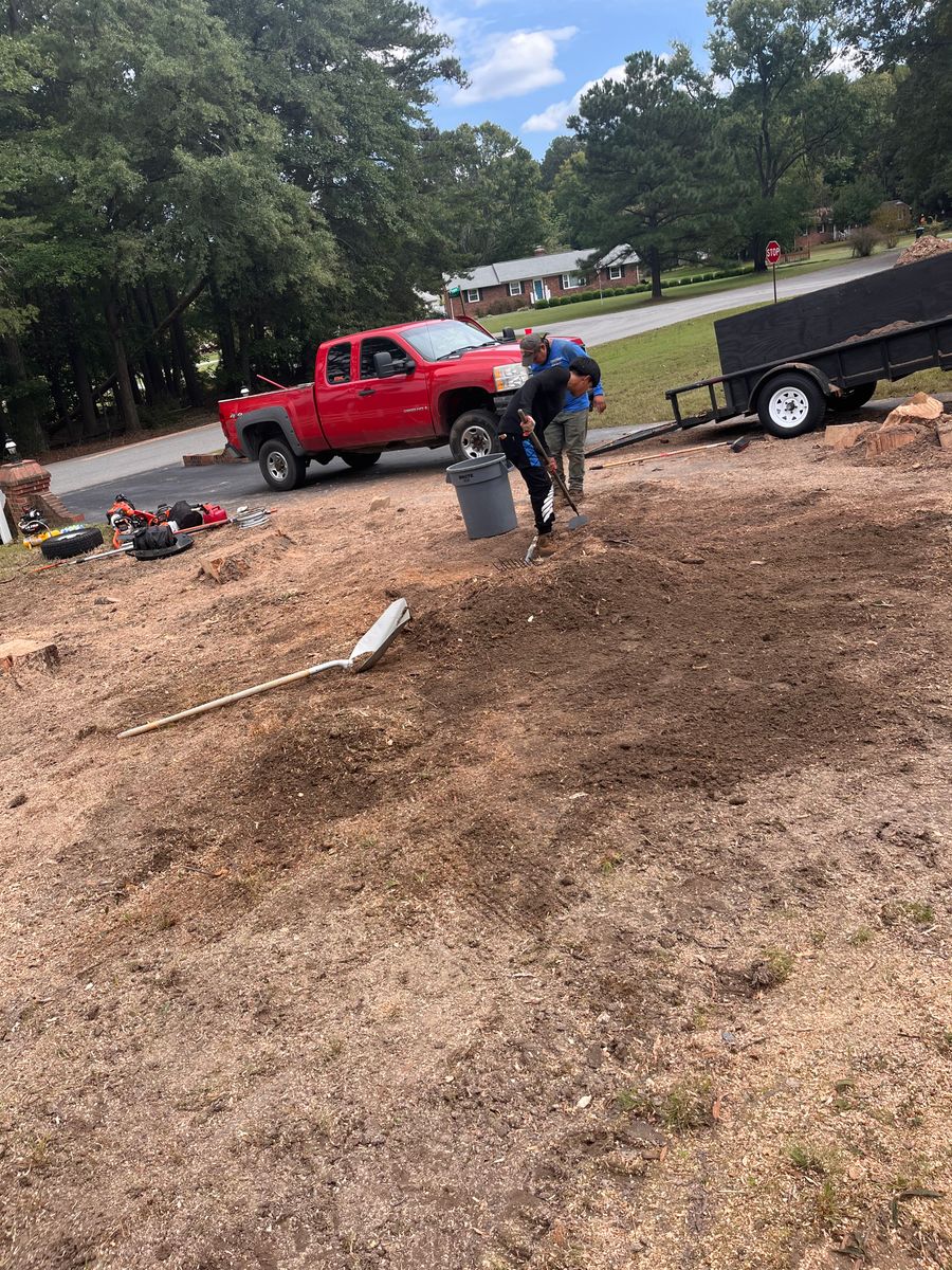 Stump Removal for Ricky's Tree Service & Property Care in Orange, VA