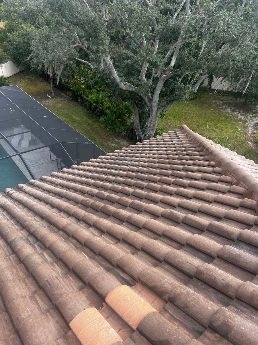 Roof Cleaning for Barr None Wash Pro in Tampa, FL