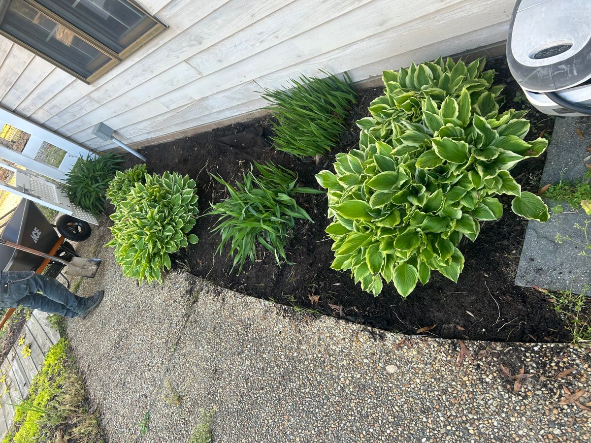 Shrub and Plant Trimming for The Whole 9 Yards Landscape VA in Heathsville, VA