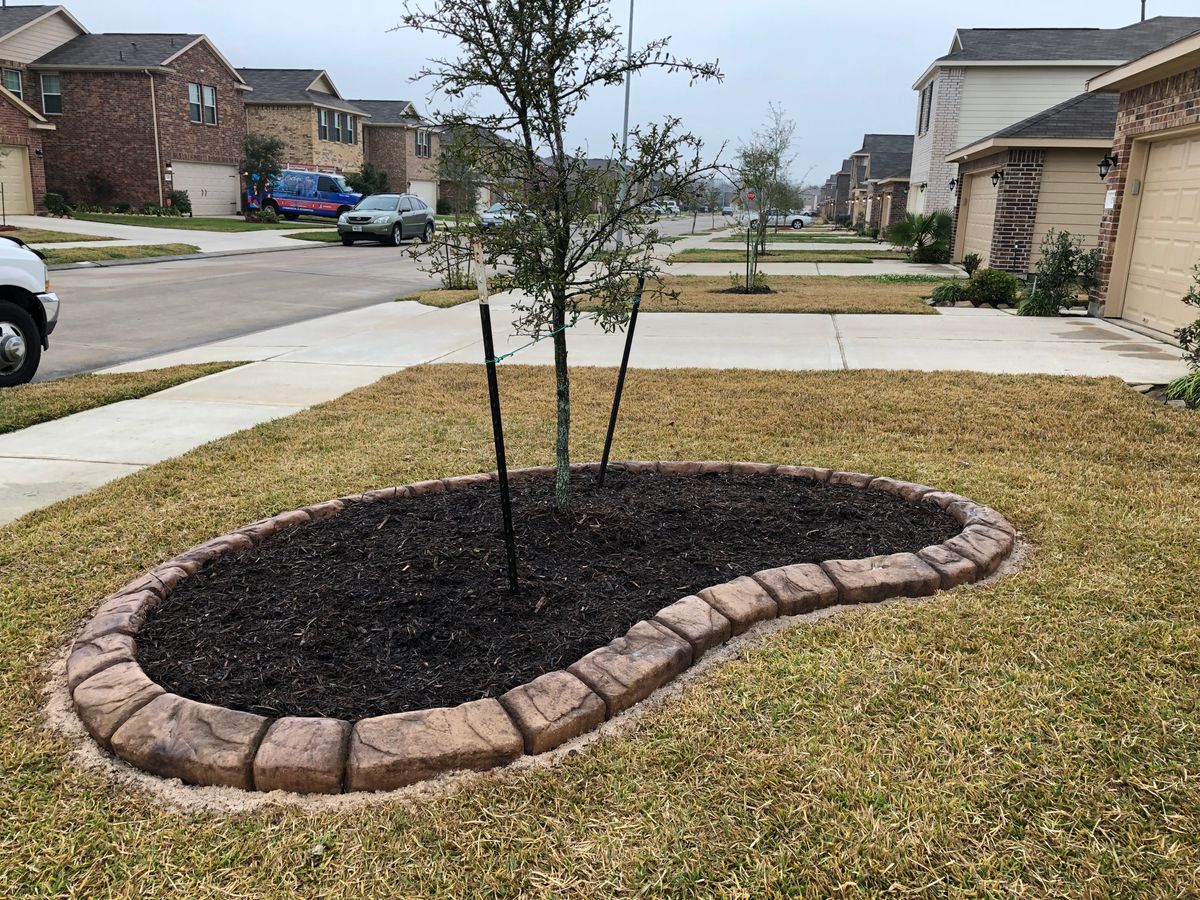 Landscaping for Texas Curb N Borders in Houston, TX