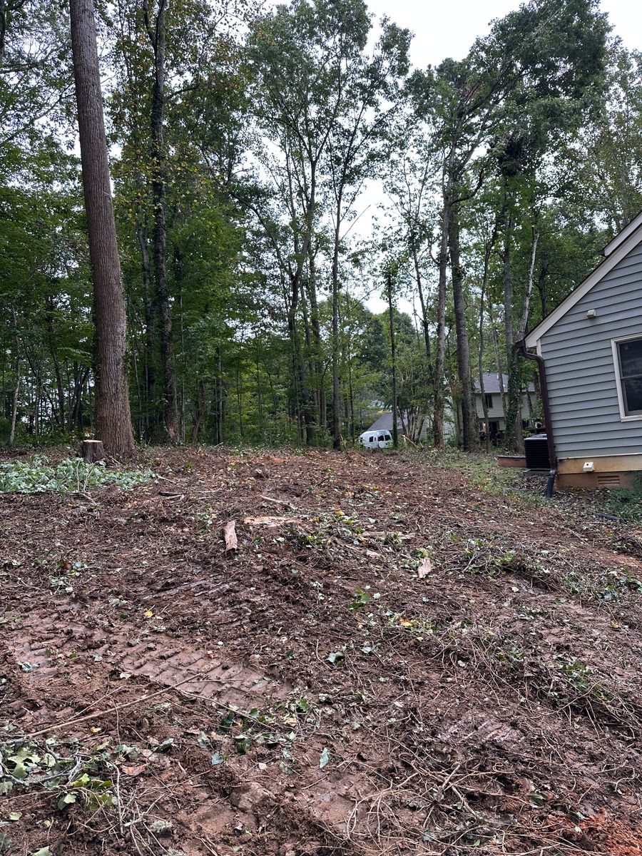 Site Preparation for Stines and Company  in Rutherfordton, NC