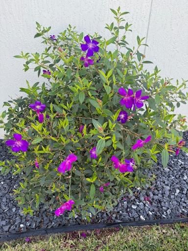 Landscape Installation for Top Quality Hardscapes in Wildwood, FL