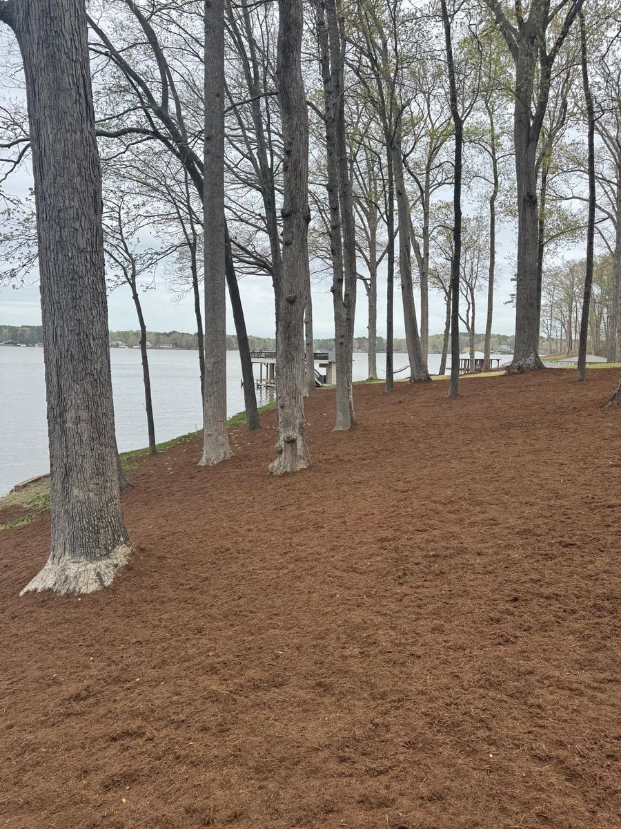 Mulch Installation for Rosales Landscaping LLC in Lake Gaston, North Carolina