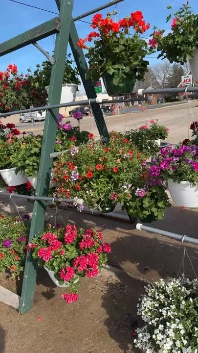 Gardening for Mayfield Landscaping in Staunton, IL