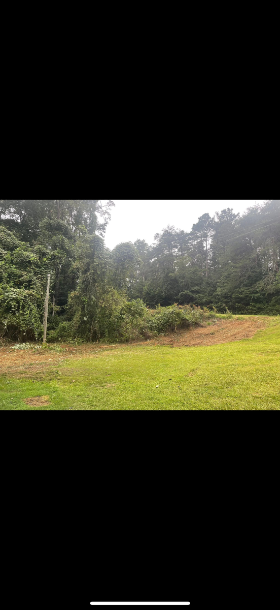 Forestry mulching for T Crane Grading LLC in Clarkesville, GA