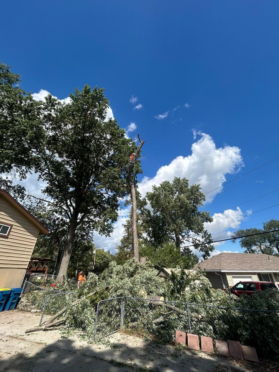 Tree Trimming for Cross Family Tree Service in Kearney, MO