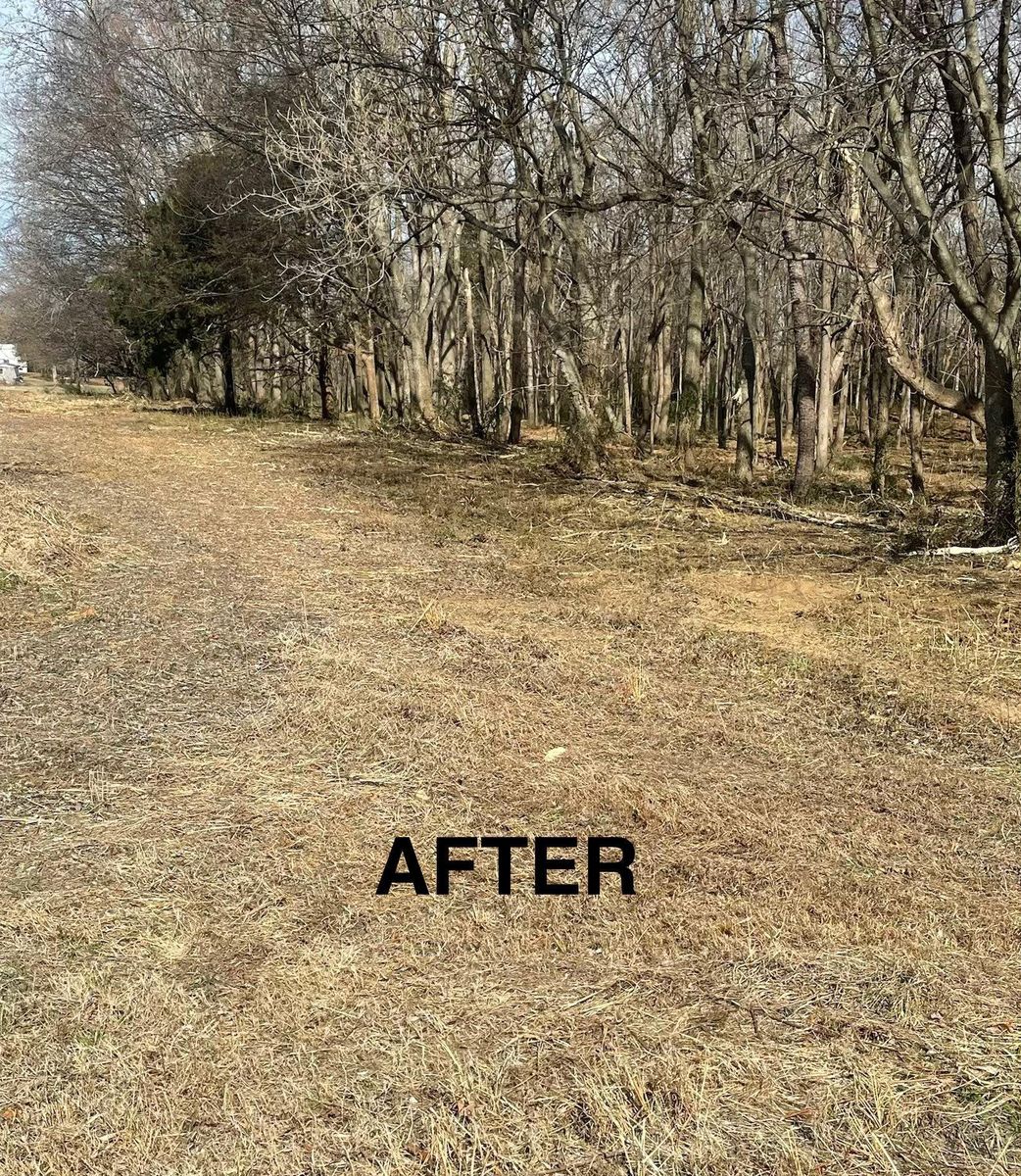 Site Preparation for JA Clearing  in Pageland, SC
