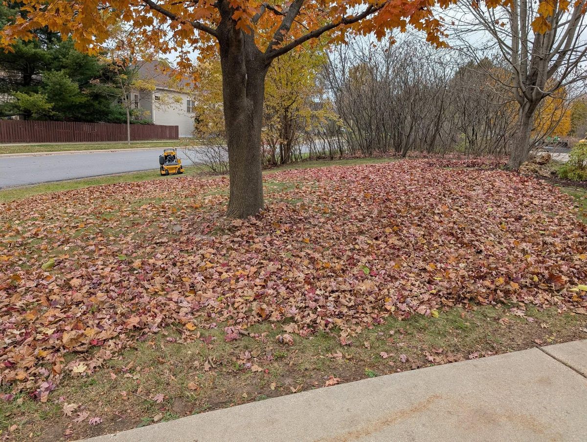 Other Lawn Services for TCB Lawn Care & Snow Removal in Sun Prairie, WI