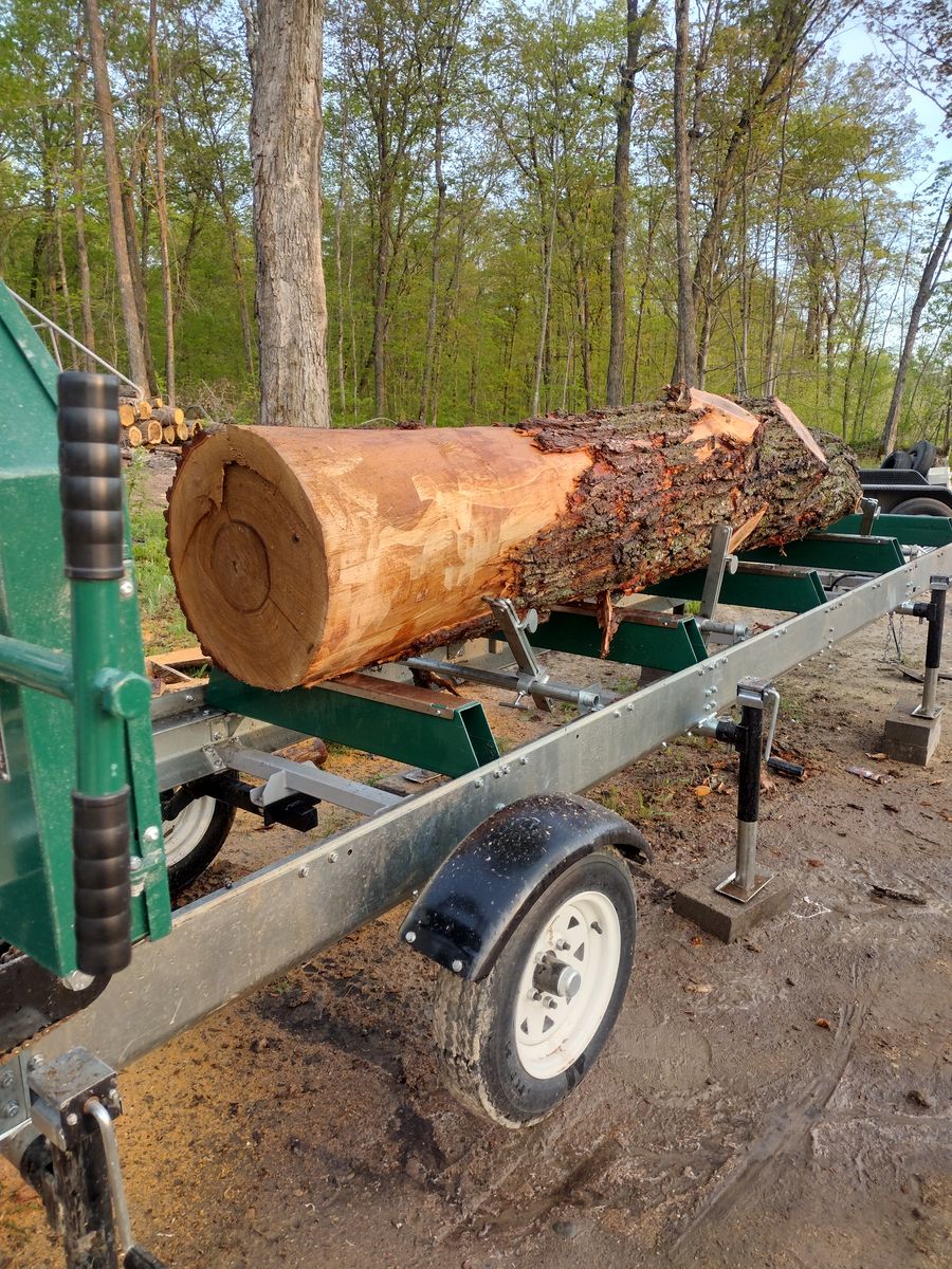 Portable Saw Mill Services for Dan's tree service in Bemidji, MN