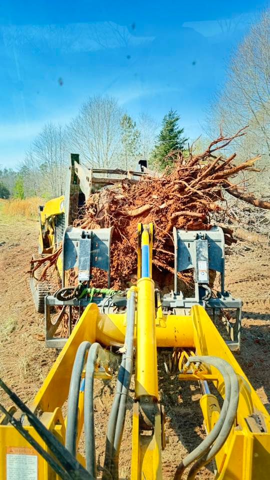 Tree Removal for Owens Tree Services in Inman, SC