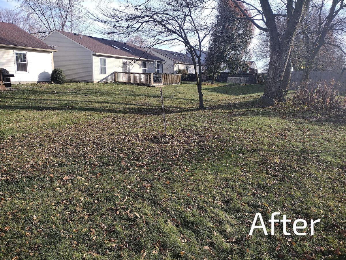 Fall and Spring Clean Up for Bearforce Lawn Care LLC in Greenfield, IN