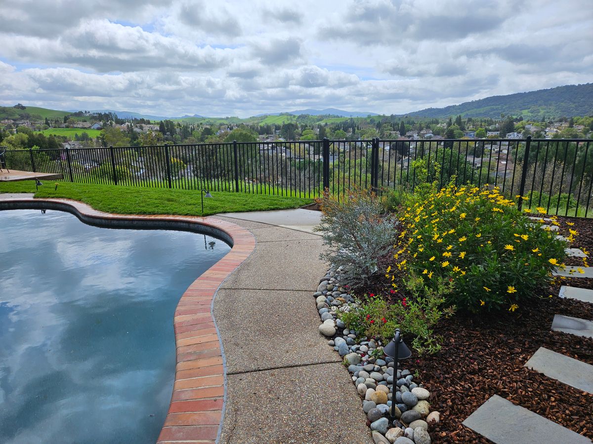 Custom Pool Design for Martin Stanko Landscape Construction in Livermore, CA
