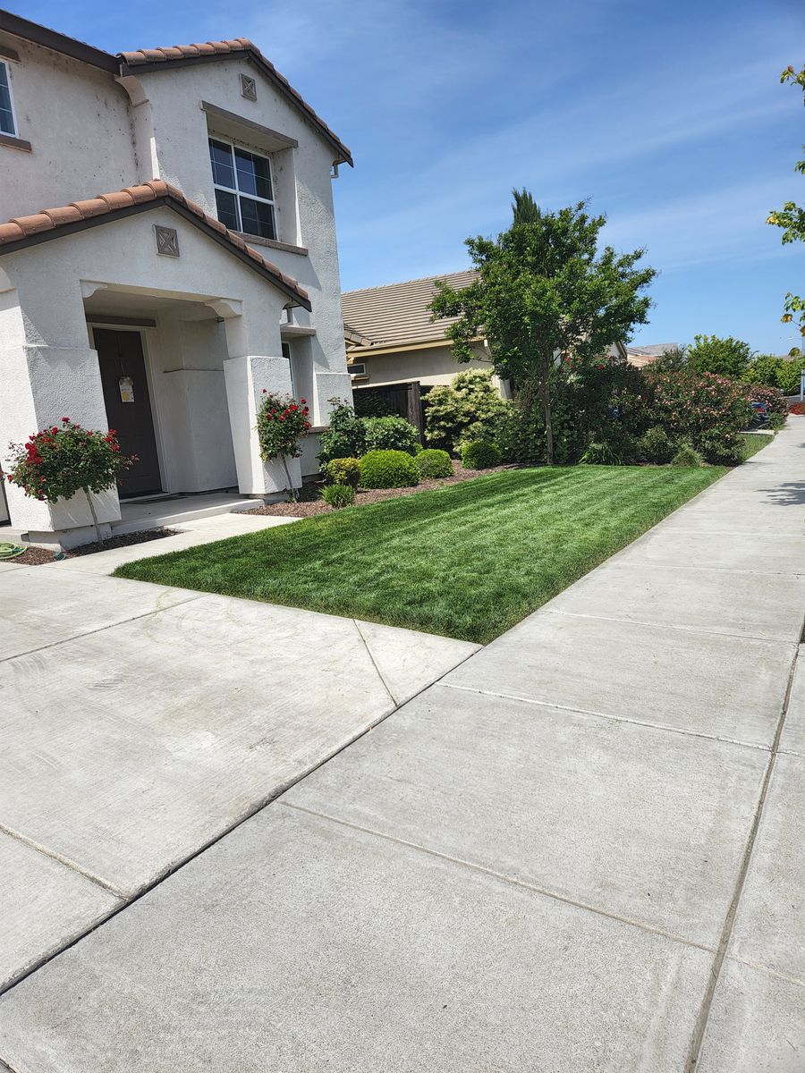 Mowing for Regalado Landscape in Antioch, CA