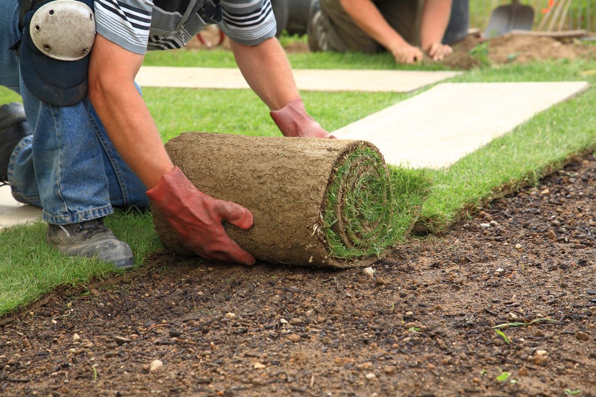 Turf Install for ALOV Landscaping in Stockton, CA