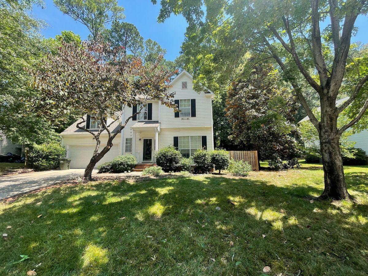 Tree Maintenance for Down To Earth Tree and Landscaping in Greenville, SC