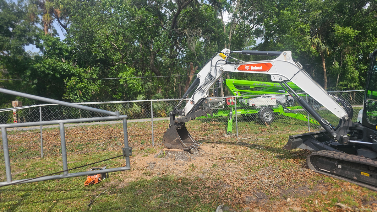 Land Clearing for Ultimate Tree and Landscape Services LLC in Mulberry, FL