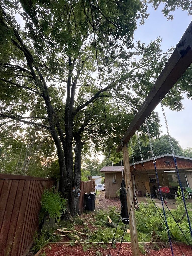 Tree Trimming for Imber’s Tree Service LLC in Arlington, TX