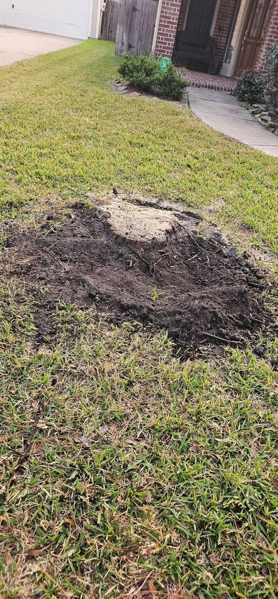 Stump Removal for Servin's Tree Care  in Houston, TX