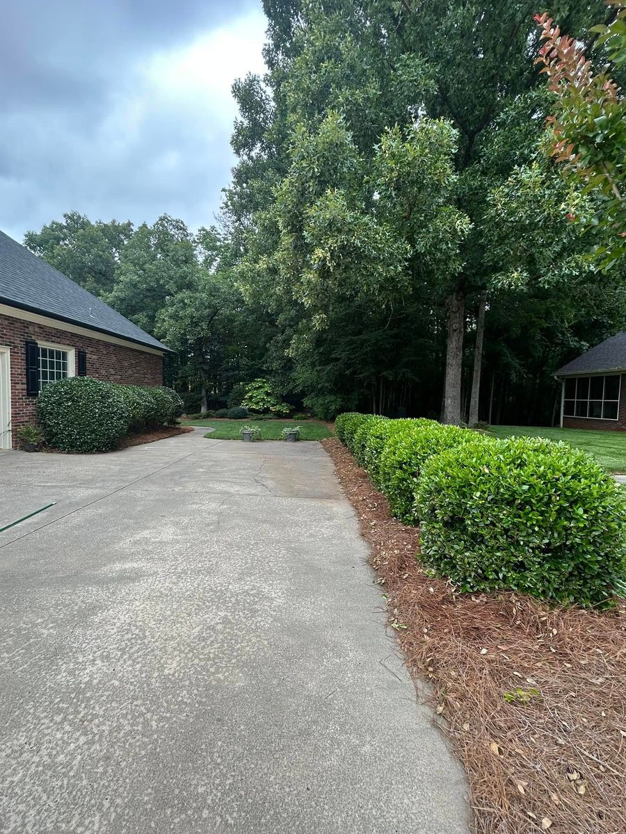 Shrub Trimming for JMLP Lawn & Landscaping in Charlotte, NC