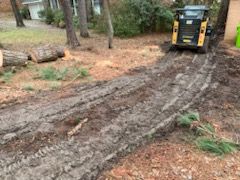 Land Clearing for Thompson Tree Climbers, LLC in Lexington, SC