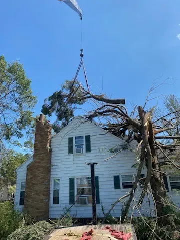 Tree Trimming for Elite Tree & Landscape Services LLC in St. Augustine, FL